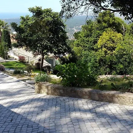 Freistehendes In Mit Terrasse, Garten Und Gemeinsamem Pool Коларес